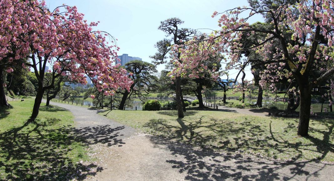 Κήποι Hama Rikyu (浜離宮恩賜庭園 (Hama-rikyū Onshi Teien)) , Τόκιο, Ιαπωνία, Ασία