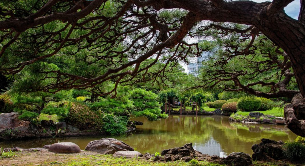 Πάρκο Σιντζούκου Γκιοέν (新宿御苑 (Shinjuku Gyoen)) , Τόκιο, Ιαπωνία, Ασία