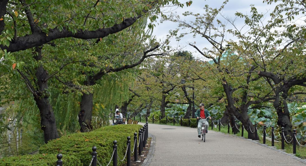 Πάρκο Ουένο (上野公園 (Ueno Kōen)) , Τόκιο, Ιαπωνία, Ασία